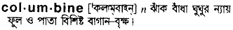 Columbine in Bangla Academy Dictionary