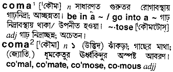Coma in Bangla Academy Dictionary