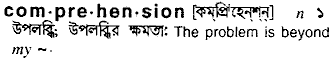 Comprehension in Bangla Academy Dictionary