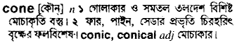 Cone in Bangla Academy Dictionary