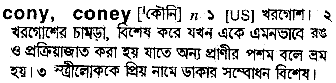 Coney in Bangla Academy Dictionary