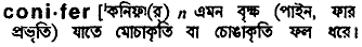 Conifer in Bangla Academy Dictionary