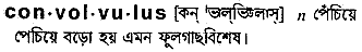 Convolvulus in Bangla Academy Dictionary