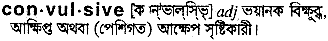Convulsive in Bangla Academy Dictionary