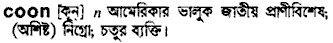 Coon in Bangla Academy Dictionary