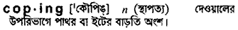 Coping in Bangla Academy Dictionary