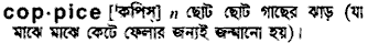 Coppice in Bangla Academy Dictionary