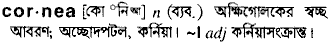 Cornea in Bangla Academy Dictionary