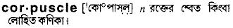 Corpuscle in Bangla Academy Dictionary