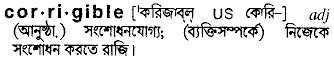 Corrigible in Bangla Academy Dictionary