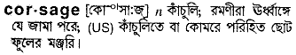 Corsage in Bangla Academy Dictionary
