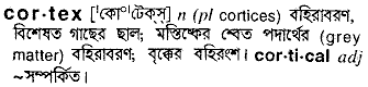 Cortex in Bangla Academy Dictionary