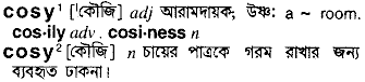 Cosy in Bangla Academy Dictionary
