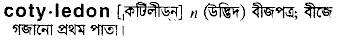 Cotyledon in Bangla Academy Dictionary