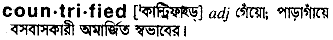 Countrified in Bangla Academy Dictionary