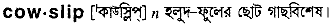 Cowslip in Bangla Academy Dictionary