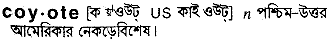 Coyote in Bangla Academy Dictionary