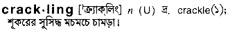 Crackling in Bangla Academy Dictionary