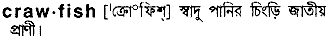 Crawfish in Bangla Academy Dictionary