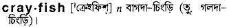 Crayfish in Bangla Academy Dictionary