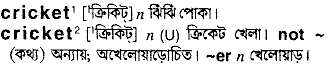 Cricket in Bangla Academy Dictionary