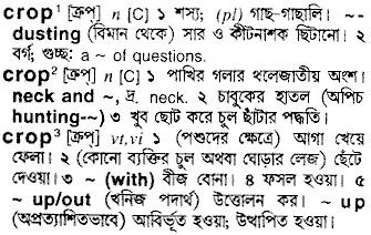 Crop in Bangla Academy Dictionary