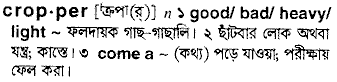 Cropper in Bangla Academy Dictionary