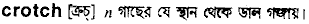 Crotch in Bangla Academy Dictionary