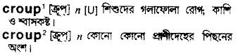 Croup in Bangla Academy Dictionary