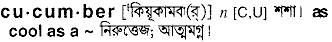Cucumber in Bangla Academy Dictionary