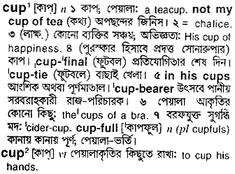 Cup in Bangla Academy Dictionary