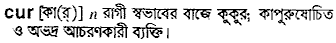Cur in Bangla Academy Dictionary
