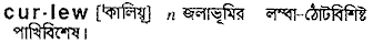 Curlew in Bangla Academy Dictionary