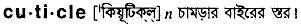 Cuticle in Bangla Academy Dictionary