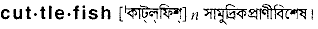Cuttlefish in Bangla Academy Dictionary