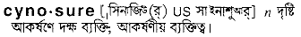 Cynosure in Bangla Academy Dictionary