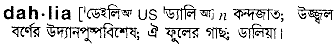 Dahlia in Bangla Academy Dictionary