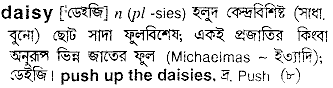 Daisy in Bangla Academy Dictionary