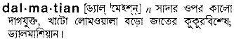 Dalmatian in Bangla Academy Dictionary