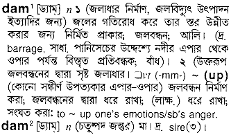 Dam in Bangla Academy Dictionary