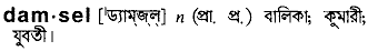 Damsel in Bangla Academy Dictionary