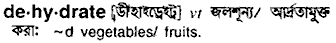 Dehydrate in Bangla Academy Dictionary