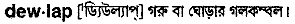 Dewlap in Bangla Academy Dictionary