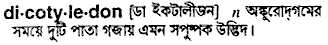 Dicotyledon in Bangla Academy Dictionary