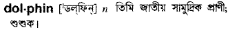 Dolphin in Bangla Academy Dictionary