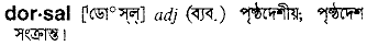 Dorsal in Bangla Academy Dictionary