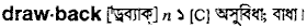 Drawback in Bangla Academy Dictionary