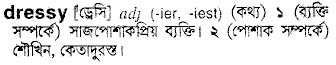 Dressy in Bangla Academy Dictionary