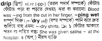 Drip in Bangla Academy Dictionary