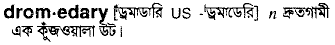 Dromedary in Bangla Academy Dictionary